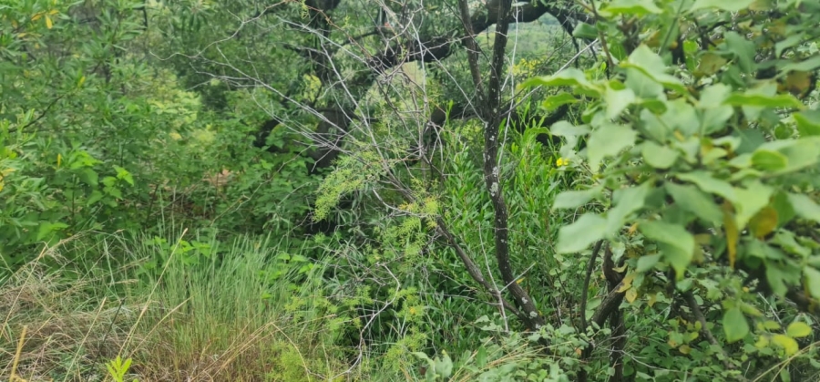 0 Bedroom Property for Sale in Cashan North West